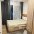 อพาร์ทเม้นท์ 1 ห้องนอน ให้เช่า ในโครงการ Modiz Sukhumvit 50, พระโขนง, คลองเตย
