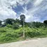 ขายที่ดิน ใน ภูเก็ต, ฉลอง, เมืองภูเก็ต, ภูเก็ต