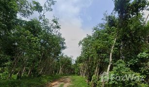 N/A Land for sale in Choeng Thale, Phuket 