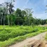  Terreno (Parcela) en venta en Costa Rica, Talamanca, Limón, Costa Rica