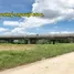  Земельный участок for sale in Khlong Yong, Nakhon Pathom, Khlong Yong