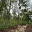  Land for sale in Mae Rim Chiang Mai, Mae Raem, Mae Rim, Chiang Mai