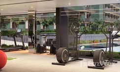Photos 3 of the Communal Gym at Wing Samui Condo