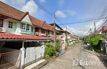 Net Thip in วิชิต, ภูเก็ต