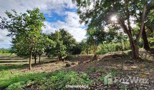 N/A Land for sale in Ban Luang, Chiang Mai 