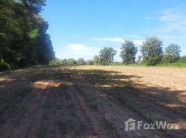 N/A Land for sale in Tum, Nakhon Ratchasima Beautiful land for Sale in Pak Thong Chai 