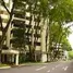 在Sommerville Estate Road租赁的3 卧室 住宅, Tyersall, Tanglin, Central Region, 新加坡