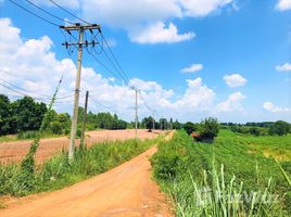  Land for sale in Thailand, Muang Wan, Nam Phong, Khon Kaen, Thailand