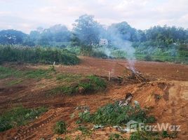  Land for sale in Thailand, Kut Pong, Mueang Loei, Loei, Thailand