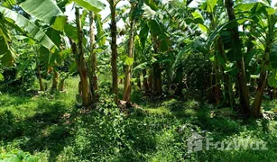 N/A Grundstück zu verkaufen in Khlong Hae, Songkhla 