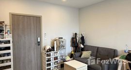 ยูนิตมือสองและให้เช่า