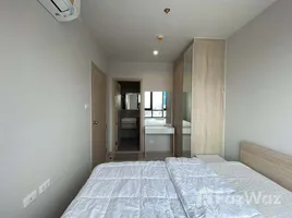 1 Bedroom Apartment for rent at Nue Noble Ngamwongwan, Bang Khen, Mueang Nonthaburi, Nonthaburi