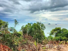 ขายที่ดิน ใน ตลิ่งงาม, สุราษฎร์ธานี, ตลิ่งงาม, เกาะสมุย