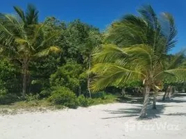  Terrain for sale in Bay Islands, Guanaja, Bay Islands
