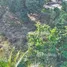 Terrain à vendre à Cabarete, Sosua