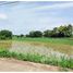  Land for sale in Chiang Rai, Ban Du, Mueang Chiang Rai, Chiang Rai