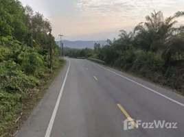 ขายที่ดิน ใน ห้างสูง, พัทยา, ห้างสูง, หนองใหญ่