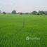  Land for sale in Bangkok, Sam Wa Tawan Ok, Khlong Sam Wa, Bangkok