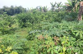  bedroom Land for sale at in West Jawa, Indonesia