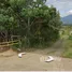  Terreno (Parcela) en venta en Puerto Princesa City, Mimaropa, Puerto Princesa City, Palawan