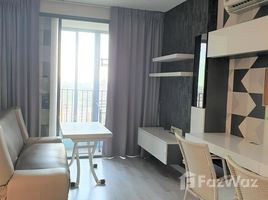 คอนโด 2 ห้องนอน ให้เช่า ในโครงการ ไอดีโอ โมบิ สุขุมวิท 81, บางจาก, พระโขนง