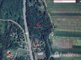  Terreno (Parcela) en venta en Lampang, Wang Tai, Wang Nuea, Lampang