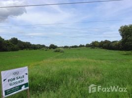  Land for sale in the Philippines, Villasis, Pangasinan, Ilocos, Philippines