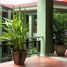 48 제곱미터입니다 Office for rent at The Courtyard Phuket, Wichit