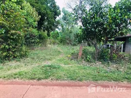  Terreno (Parcela) en venta en Nakhon Phanom, Ban Kho, Phon Sawan, Nakhon Phanom