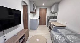 Verfügbare Objekte im Contours Villa