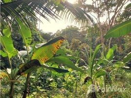  Grundstück zu verkaufen in Bocas Del Toro, Bocas Del Toro, Bastimentos