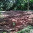  Land for sale in Ko Kaeo, Phuket, Ko Kaeo, Phuket Town, Phuket