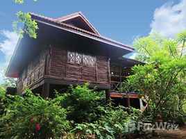 4 Bedroom House for sale in Nong Yaeng, San Sai, Nong Yaeng