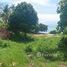  Земельный участок for sale in Koh Phangan, Сураттани, Koh Phangan, Koh Phangan
