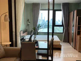 คอนโด 1 ห้องนอน ให้เช่า ในโครงการ ไลฟ์ อโศก, บางกะปิ, ห้วยขวาง, กรุงเทพมหานคร