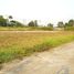 巴吞他尼 Bueng Sanan Land For Sale 247 Sqw in Rangsit Khlong 4 N/A 土地 售 