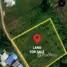 Land for sale in Pa Khlok, Phuket, Pa Khlok, Thalang, Phuket