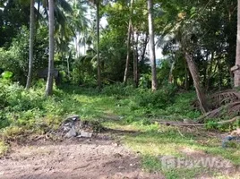  Grundstück zu verkaufen in Koh Samui, Surat Thani, Taling Ngam