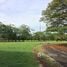  Land for sale at Liberia, Liberia