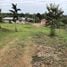  Terrain for sale in Costa Rica, Siquirres, Limon, Costa Rica