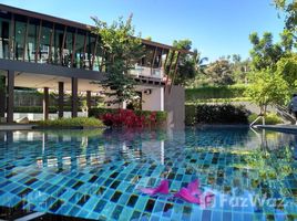 Студия Кондо в аренду в Dcondo Campus Resort Chiang-Mai, Suthep, Mueang Chiang Mai, Чианг Маи