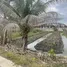 ขายที่ดิน ใน สามพราน นครปฐม, คลองใหม่, สามพราน, นครปฐม