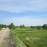  Land for sale in Ban Ko, Phra Nakhon Si Ayutthaya, Ban Ko, Phra Nakhon Si Ayutthaya, Phra Nakhon Si Ayutthaya