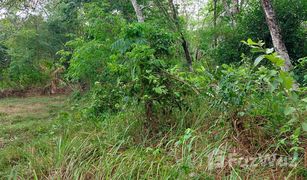N/A Land for sale in Chalong, Phuket 