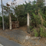  Land for sale in Pathum Thani, Lam Phak Kut, Thanyaburi, Pathum Thani