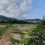  Land for sale in AsiaVillas, Patong, Kathu, Phuket, Thailand