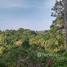  Land for sale in Ko Pha-Ngan, Surat Thani, Ko Pha-Ngan, Ko Pha-Ngan