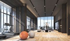 Фото 2 of the Communal Gym at Siamese Exclusive Queens