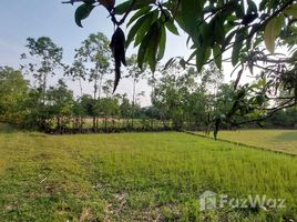 在乌汶出售的 土地, Rai Noi, Mueang Ubon Ratchathani, 乌汶
