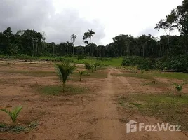 2 Schlafzimmer Haus zu verkaufen in Presidente Figueiredo, Amazonas, Presidente Figueiredo